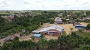 paisaje cacao nativo amazonia