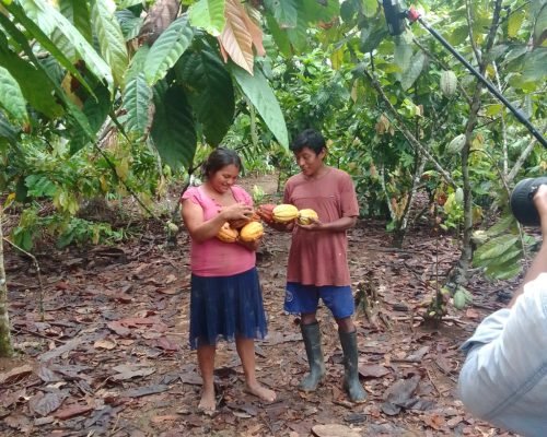 agricultura sostenible amazonia shakaim